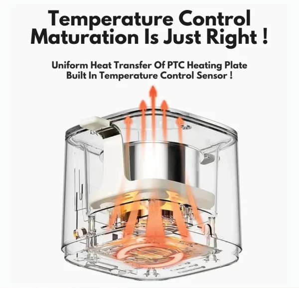 6-Mode Electric Egg Boiler